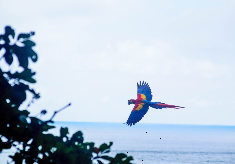 costa rica mindfulness