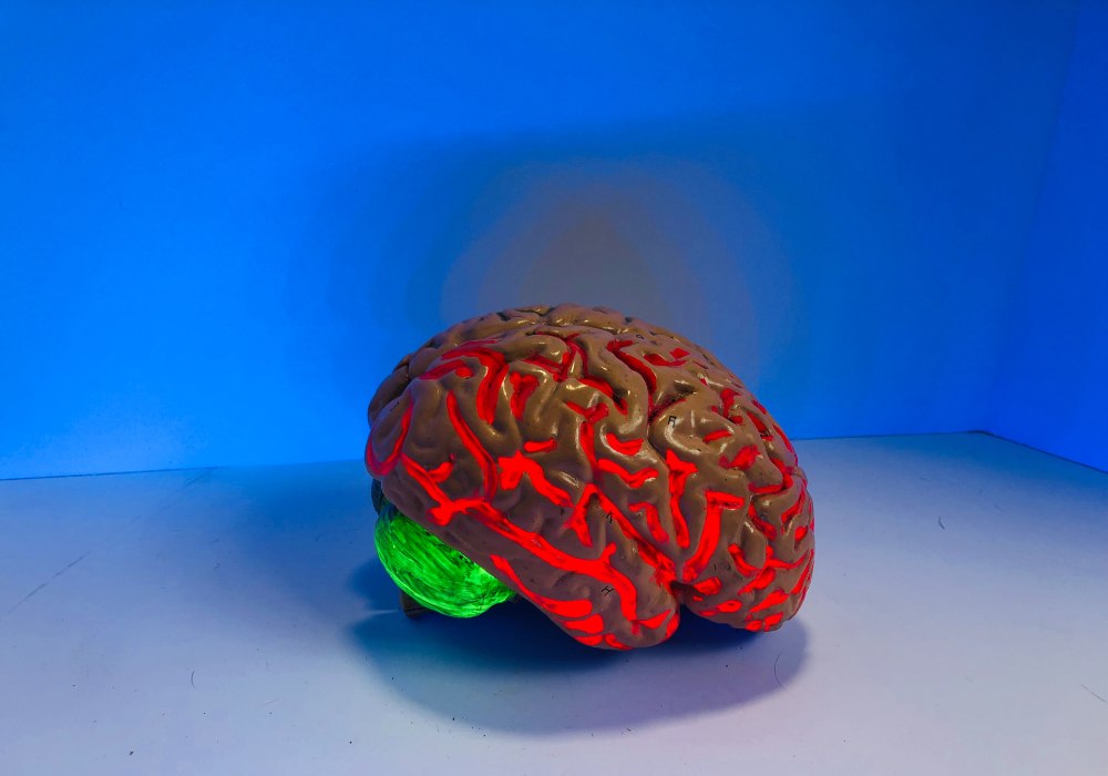 neurohacking-mindset-mindfulsteward